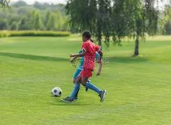 拉法米尔分,维尼修斯当,选世界顶级,时时彩,彩票预测,高频彩票,在线投注,彩票平台