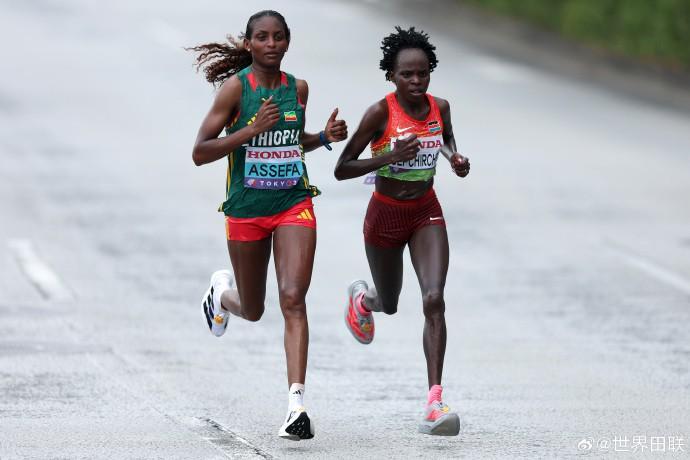 未来五年最,具潜力的五,位新星揭晓,时时彩,彩票预测,高频彩票,在线投注,彩票平台