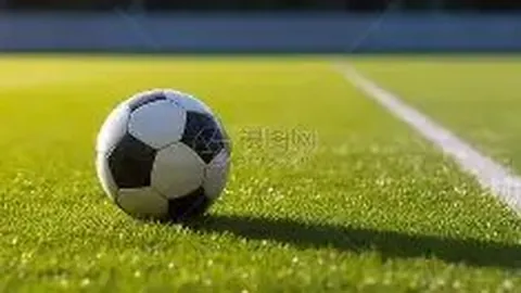 《汉阳门花园》凤凰山畔盛放，武汉媒体盛赞：梦幻客场独一无二