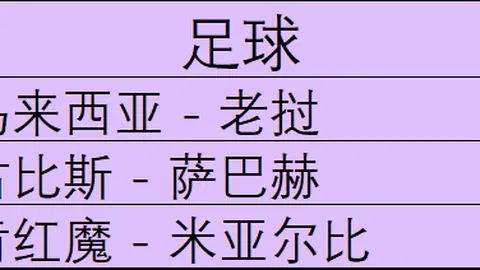 2026独家探秘：卢卡库身披费内巴切战袍，伊斯坦布尔迎新巨星